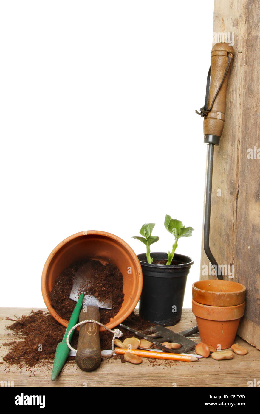 Unter dem Motto Stillleben Garten Pflanze Setzlinge, Samen und Gartengeräte auf eine Pottingbank Stockfoto
