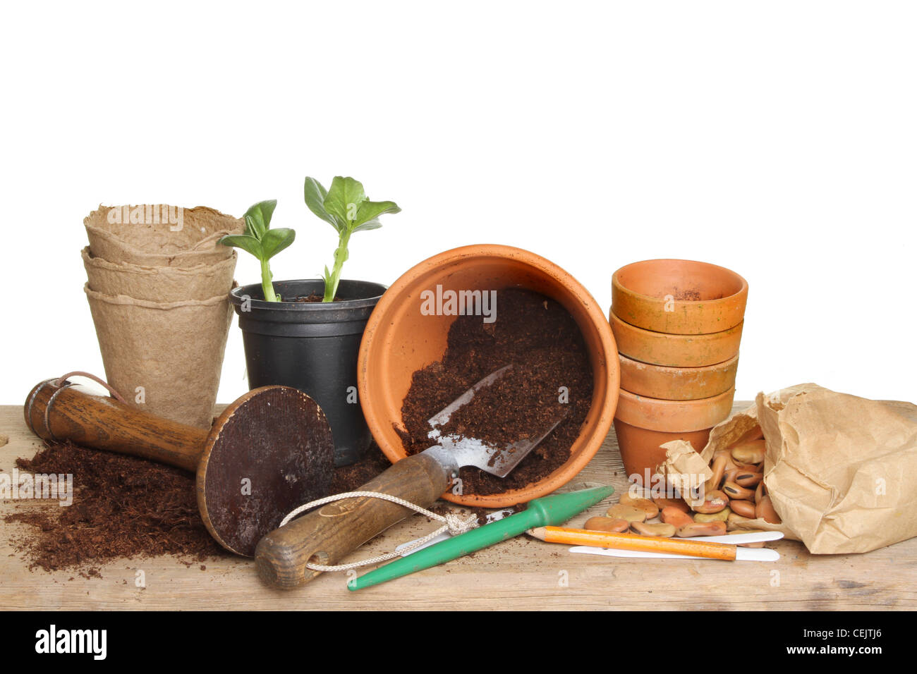 Gartengeräte, Terrakotta Blumentöpfe, Erde, Samen und ein Keimling-Pflanze auf einer Holzbank Blumenerde Stockfoto