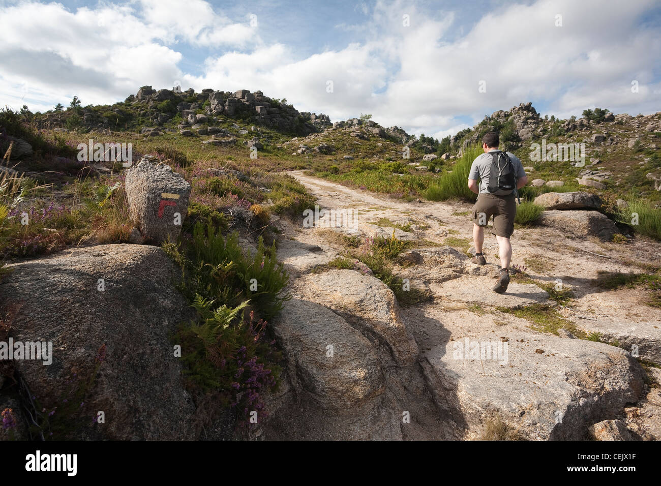 Menschen wandern entlang der Pedra Bela Trail - Gerês Nationalpark Peneda-Gerês, Braga District, Norte Region, Portugal Stockfoto