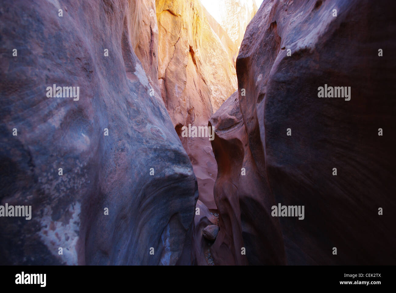 Bunte Slotcanyon, Grand Treppe Escalante National Monument, Utah Stockfoto