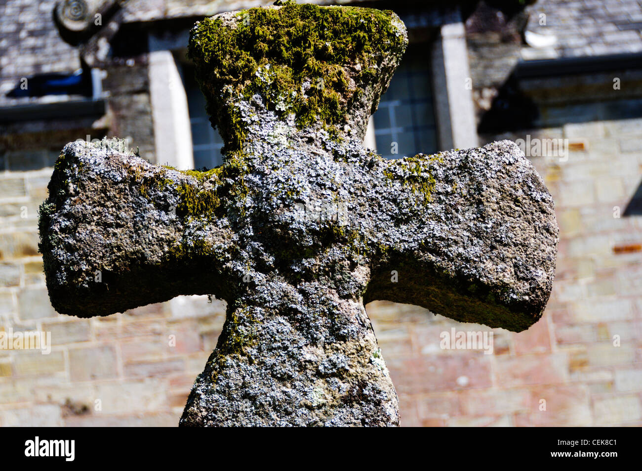 Der Kopf eines großen keltischen Kreuz auf dem Friedhof der St. Hyderoc Kirche, Lanhydrock, Cornwall. Stockfoto