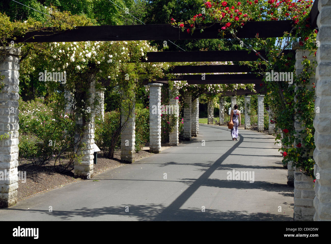 Die botanischen Gärten, Dunedin, Neuseeland Stockfoto