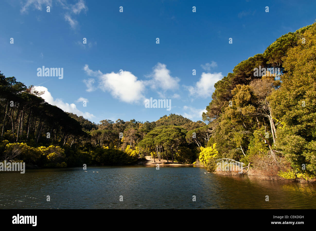 Schöne Landschaft der "Lagoa Azul", Blue Lagoon in Portugal Stockfoto