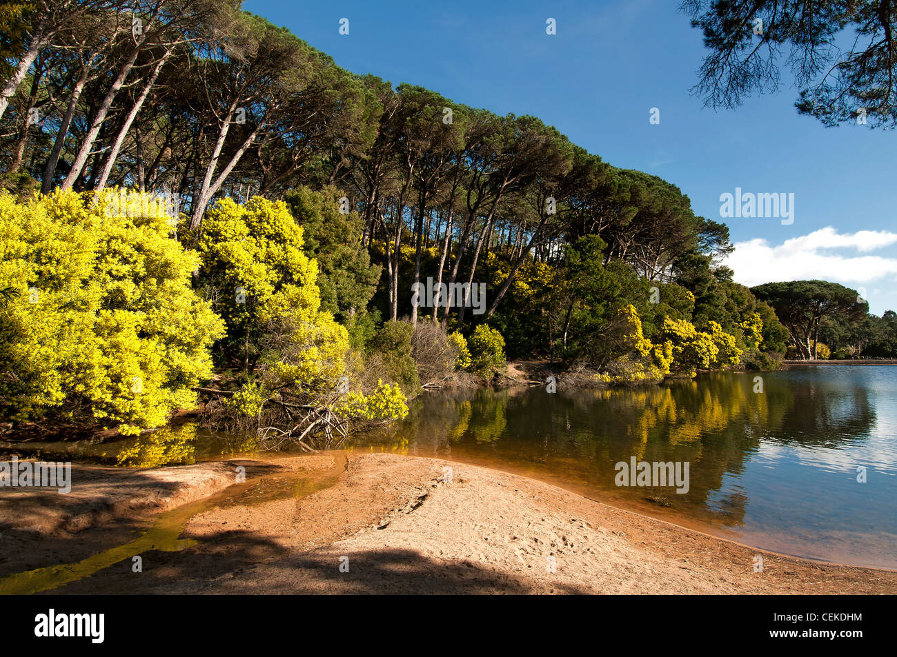 Schöne Landschaft der "Lagoa Azul", Blue Lagoon in Portugal Stockfoto