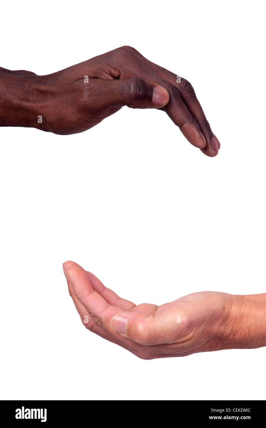 Japan Premium Hund Frisbee - Weiches Material Schonend Für Zähne | Helle Farbe Für Bessere Sichtbarkeit