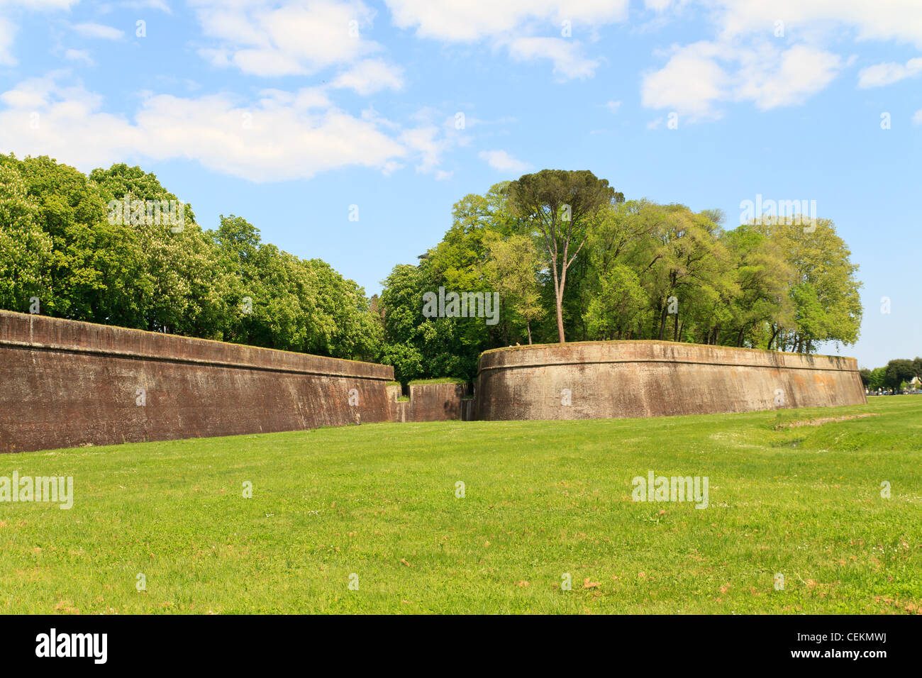 Lucca Wand Stadtbefestigung im Frühjahr, Toskana, Italien Stockfoto