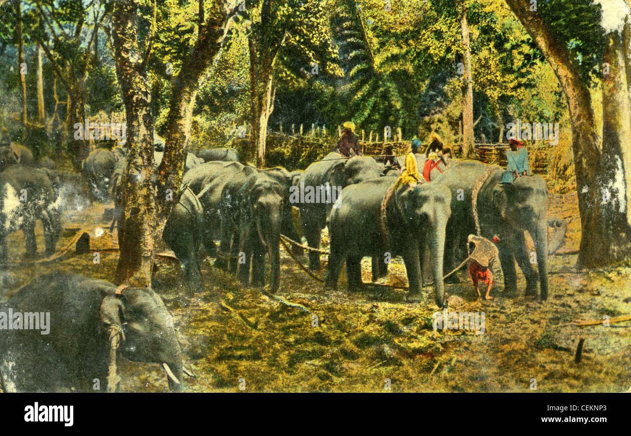 308. Bombergruppe, 14. Army Air Force, China Birma Indien, dem zweiten Weltkrieg WWII. Natürlich Postkarte Indien Arbeitnehmer mit Elefanten Stockfoto