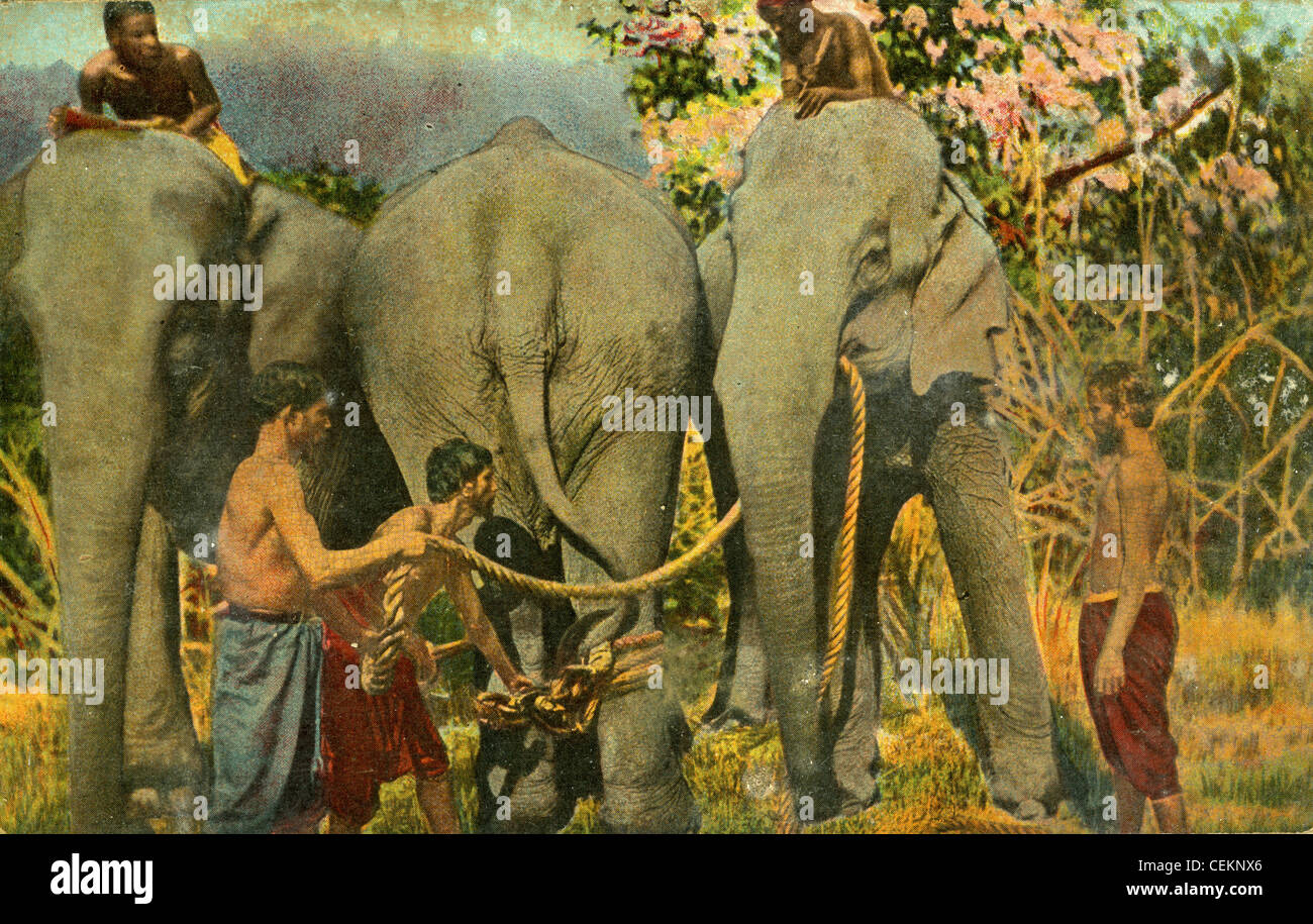 308. Bombergruppe, 14. Army Air Force, China Birma Indien, dem zweiten Weltkrieg WWII. Natürlich Postkarte Indien Arbeitnehmer mit Elefanten Stockfoto
