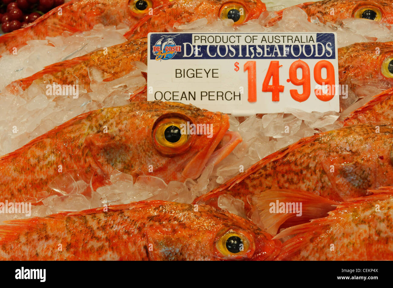 Frische Meeresfrüchte zu produzieren, in Sydney Fish Market in Sydney Australia Stockfoto