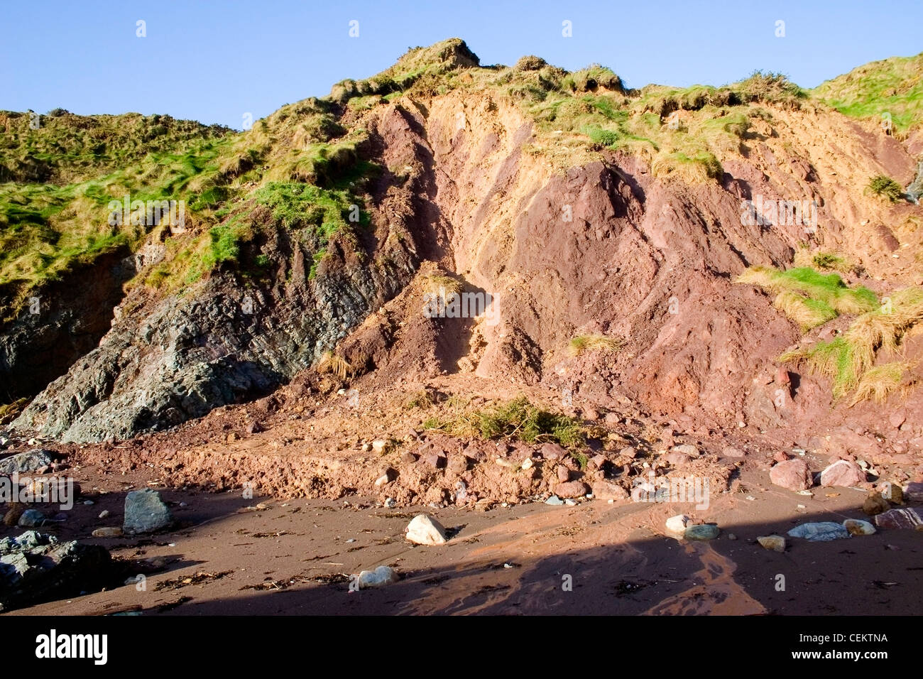 Cliff Erosion, Ballydowane Cove, Kupfer Küste, Co Waterford, Irland Stockfoto