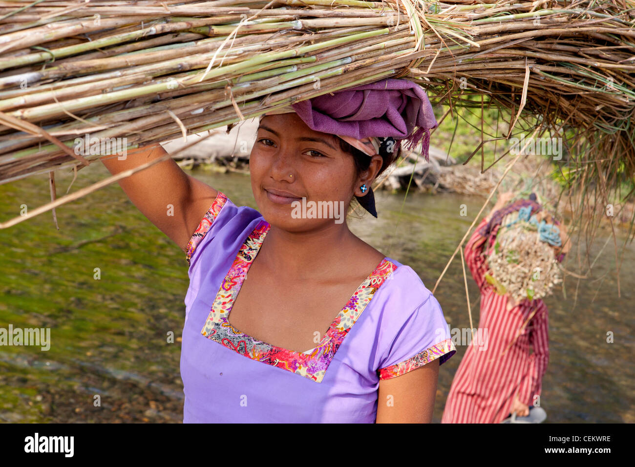 Frauen über Fluss Rasen schneiden Saison Bardia Nationalpark Nepal Asien Stockfoto