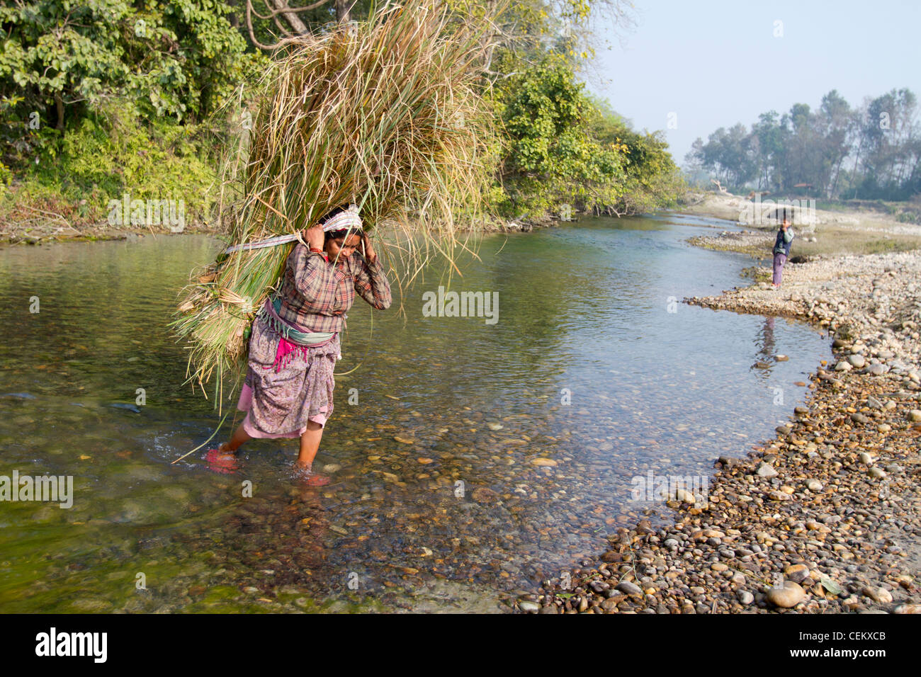 Menschen über Fluss Rasen schneiden Saison Bardia Nationalpark Nepal Asien Stockfoto