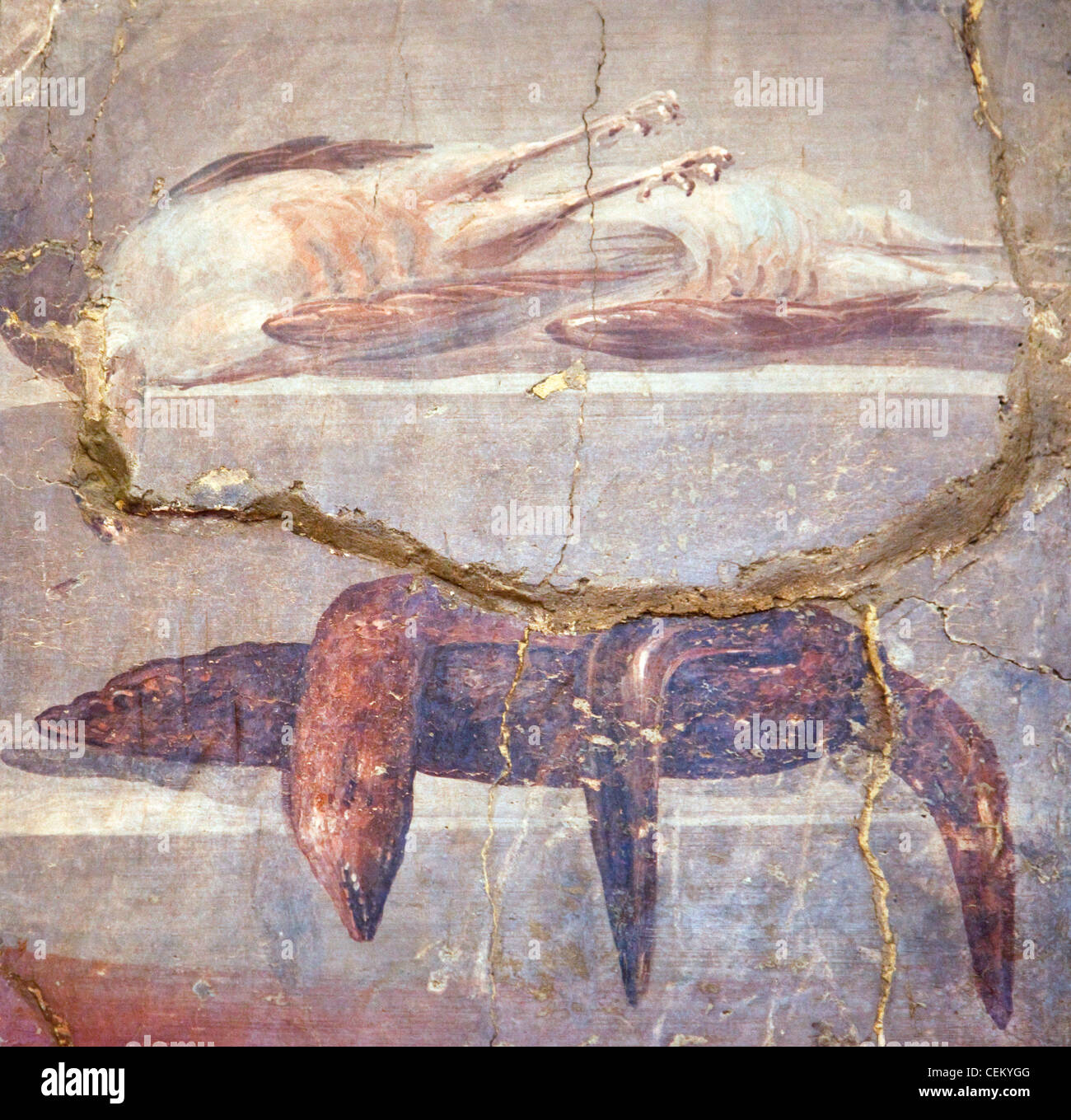 Italien, Neapel, Naples Museum, Herculaneum, Haus des Hirsches (IV, 21), Frameworks von Nature Morte Stockfoto