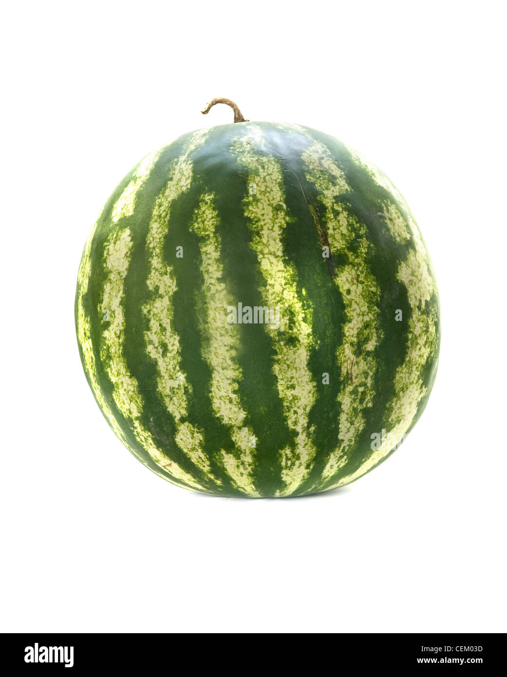 Reife Wassermelone isoliert auf weißem Hintergrund Stockfoto