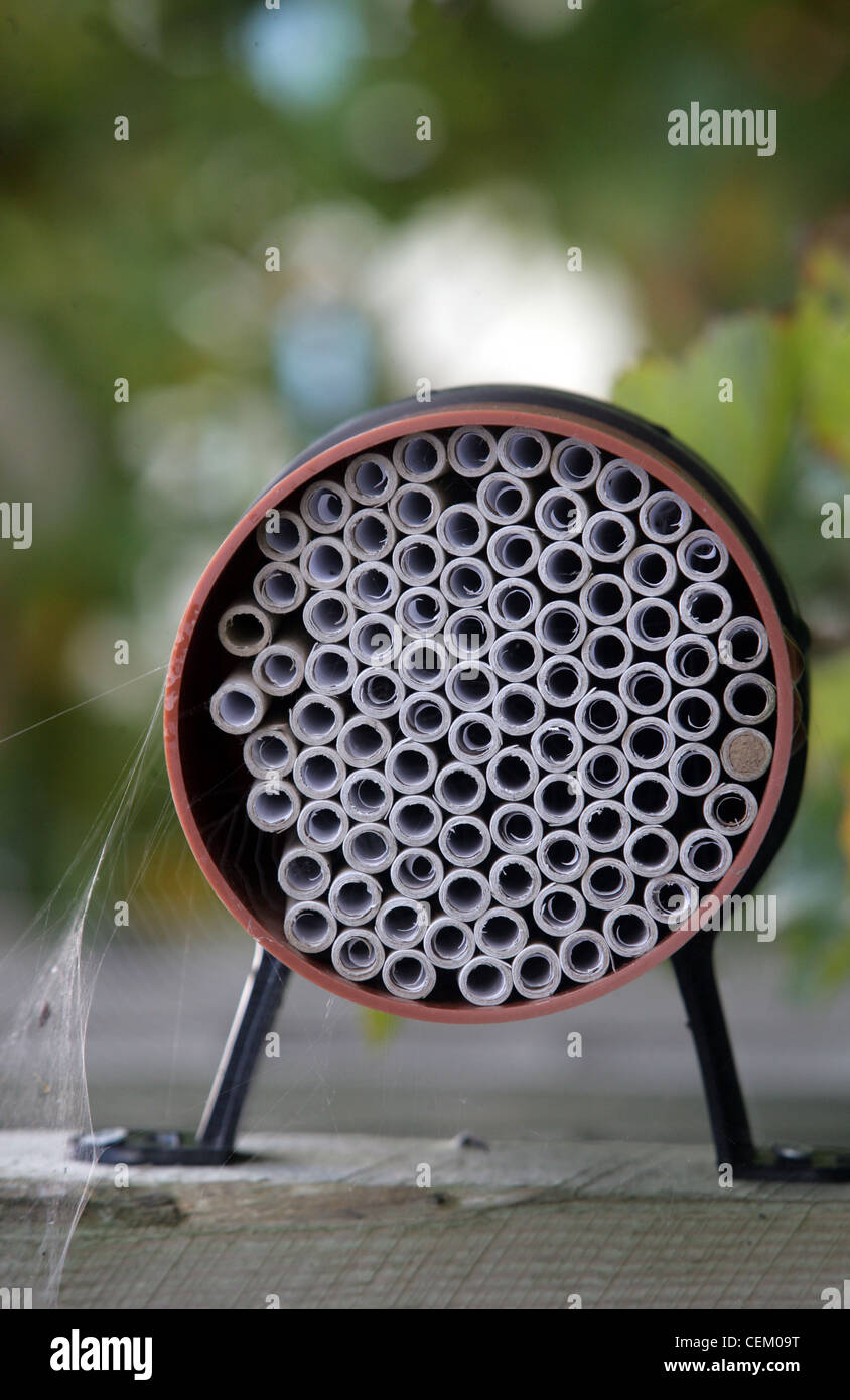 Erstellen von Lebensräumen schaffen eine einsame Biene nest mit kleinen Papphülsen Stockfoto
