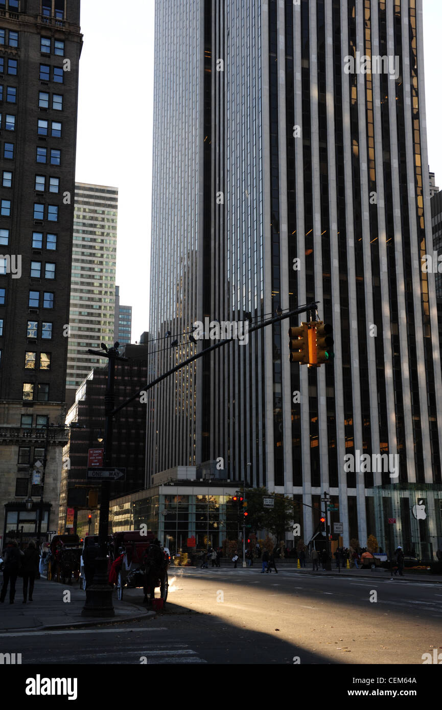 Morgen Sonne Porträt 5th Avenue Wolkenkratzer, Tauben, Horse-drawn Wagen geparkt, West 59th Street Grand Army Plaza, New York Stockfoto