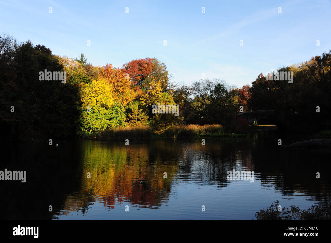 Blauer Himmel Sonne Schatten Blick in Richtung Gapstow Brücke, Herbst Bäume reflektiert Stillgewässer The Pond, Central Park South NewYork Stockfoto