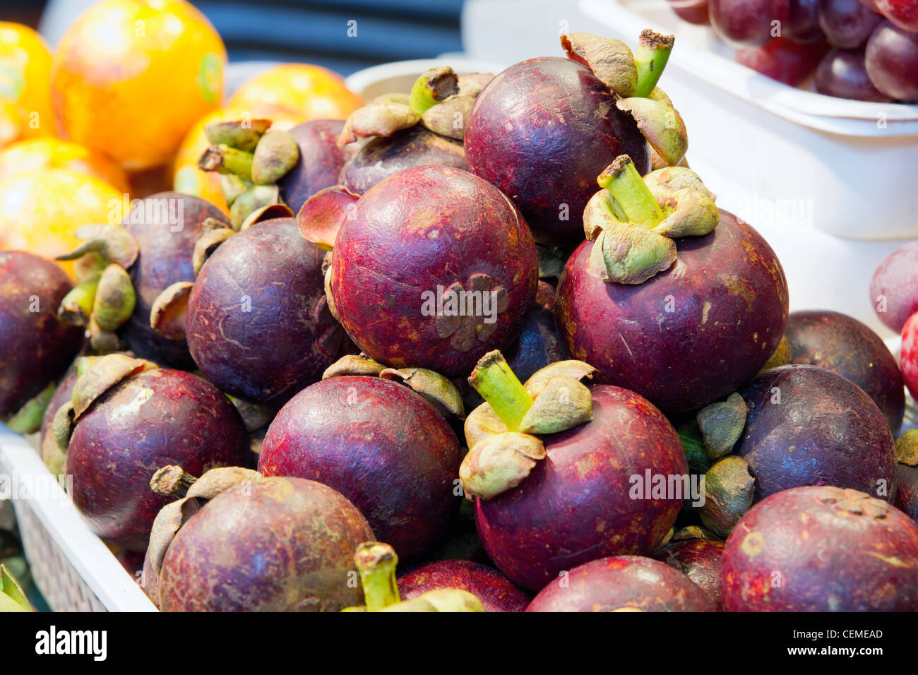 Mangostan Tropenfrüchte Closeup Stockfoto