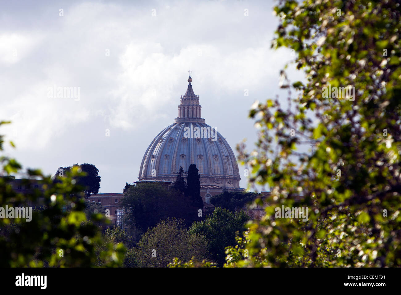 Sehenswürdigkeiten von Rom, der Vatikan Kuppel von St. Peter's Basilika oder La Cupola durch Bäume gerahmt Stockfoto