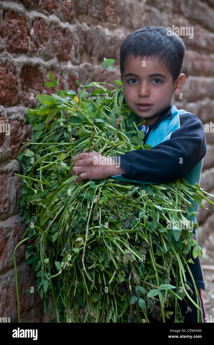 Kind mit Pflanzen Minya Ägypten Stockfoto