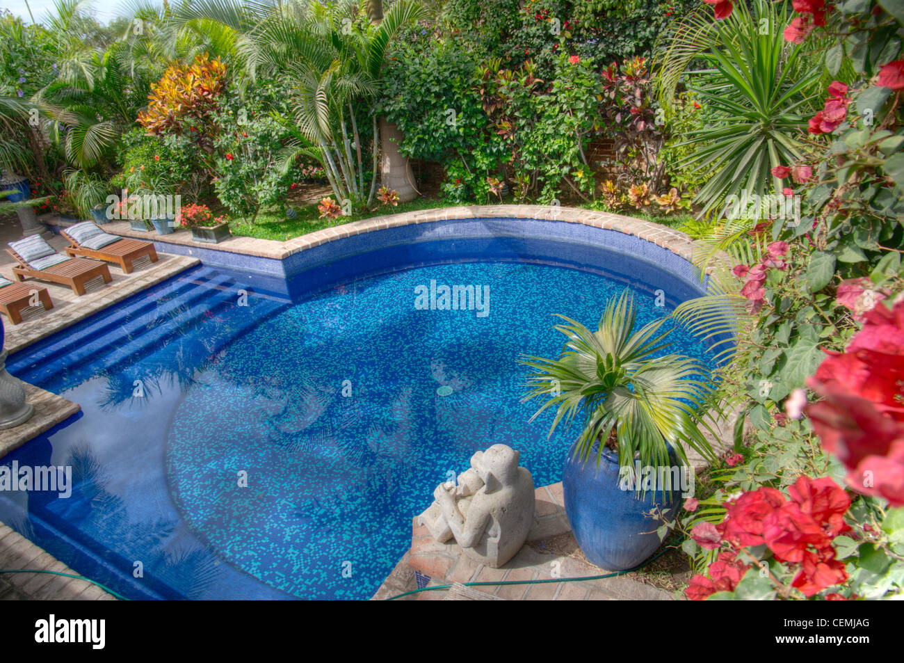 Pool am Hotel California, Todos Santos, Baja California del Sur Stockfoto