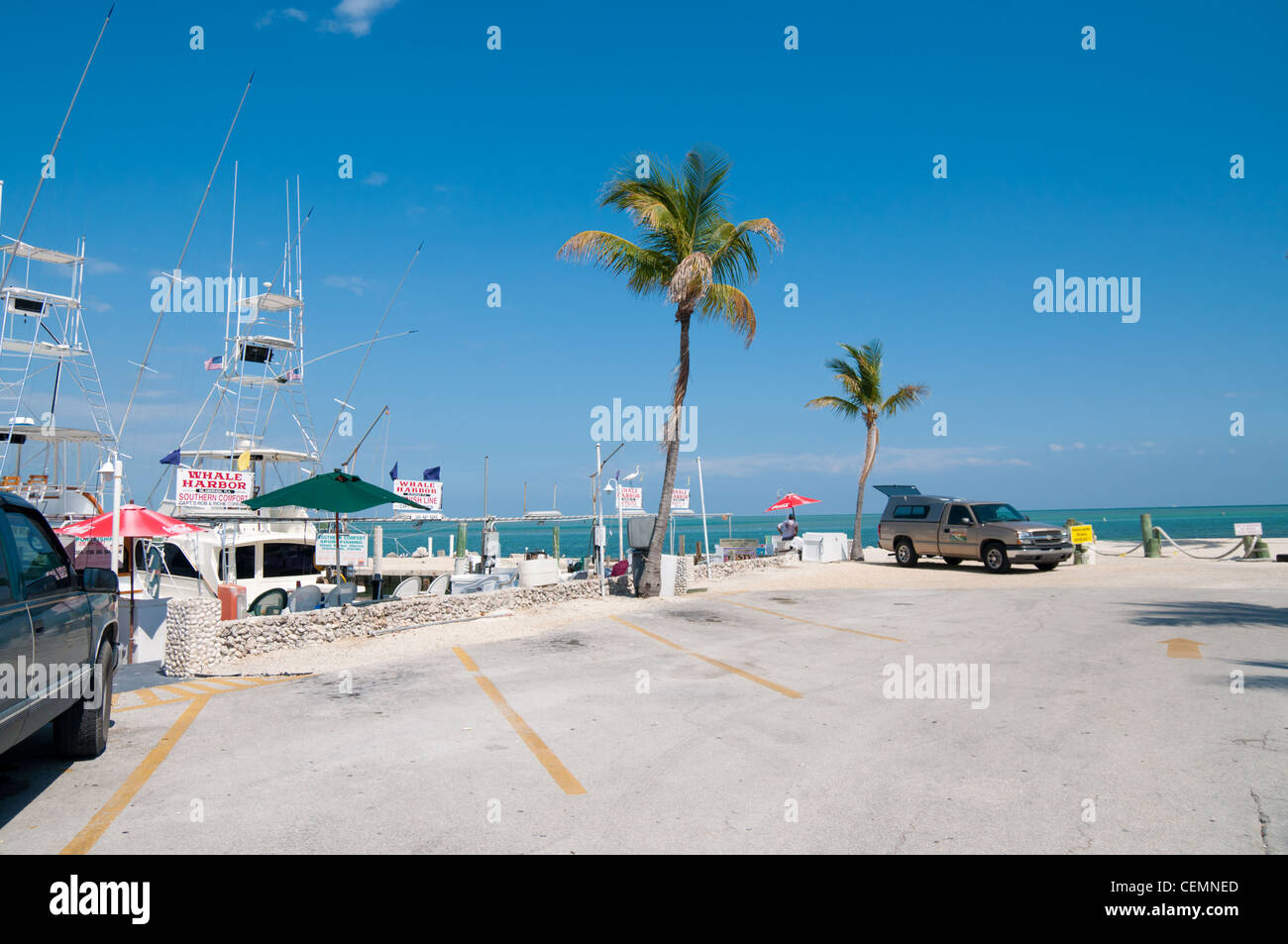 Parkplatz des Whale Harbor auf Islamorada Island Florida Stockfoto