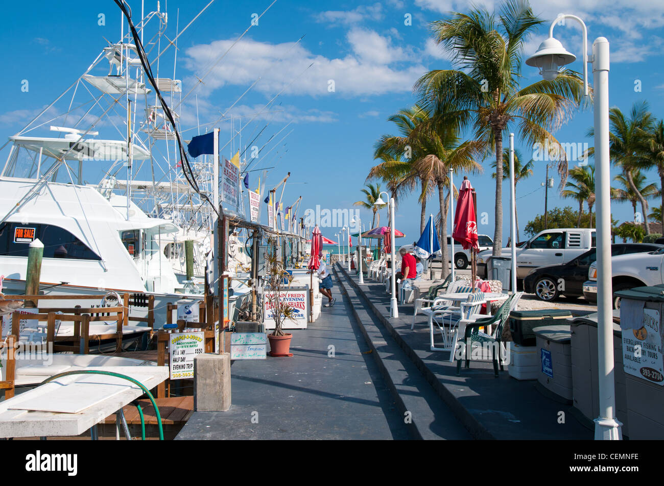 Whale Harbor Marina auf Islamorada Insel Florida Stockfoto