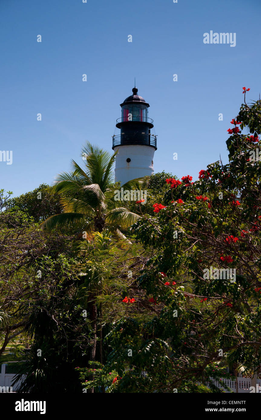 Key West Leuchtturm und Museum gesehen durch die Bäume des Gartens Ernest Hemingway, Key West, Florida Stockfoto