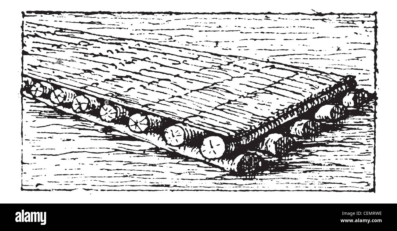 Alten gravierte Darstellung der phönizischen Floß auf dem Wasser schwimmen. Wörter und Sachen - Larive und Fleury? 1895 Stockfoto