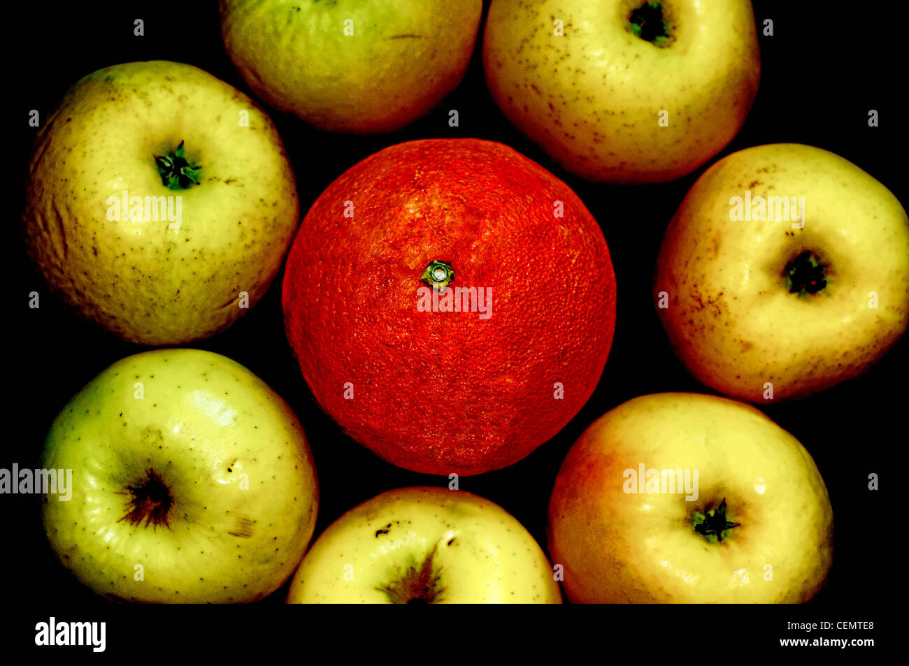 Obst mit Schönheitsfehlern, 7 Äpfel und 1 Orange in kreisförmigen Komposition, schwarzer Hintergrund. Stockfoto