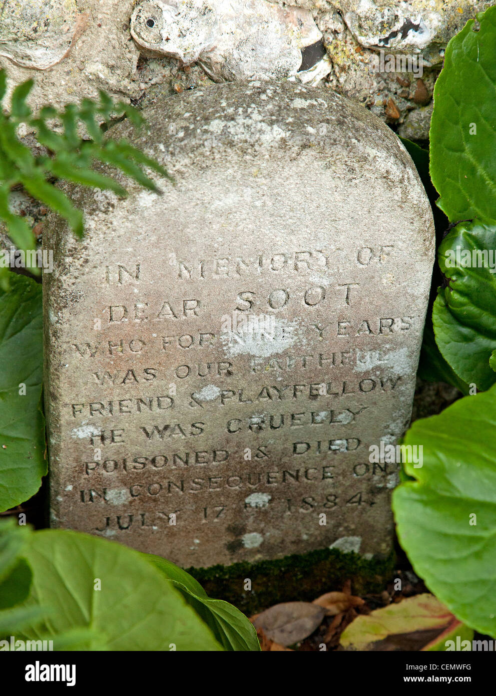 Detailansicht des viktorianischen Ruß Hund Haustier Grabstein Stockfoto