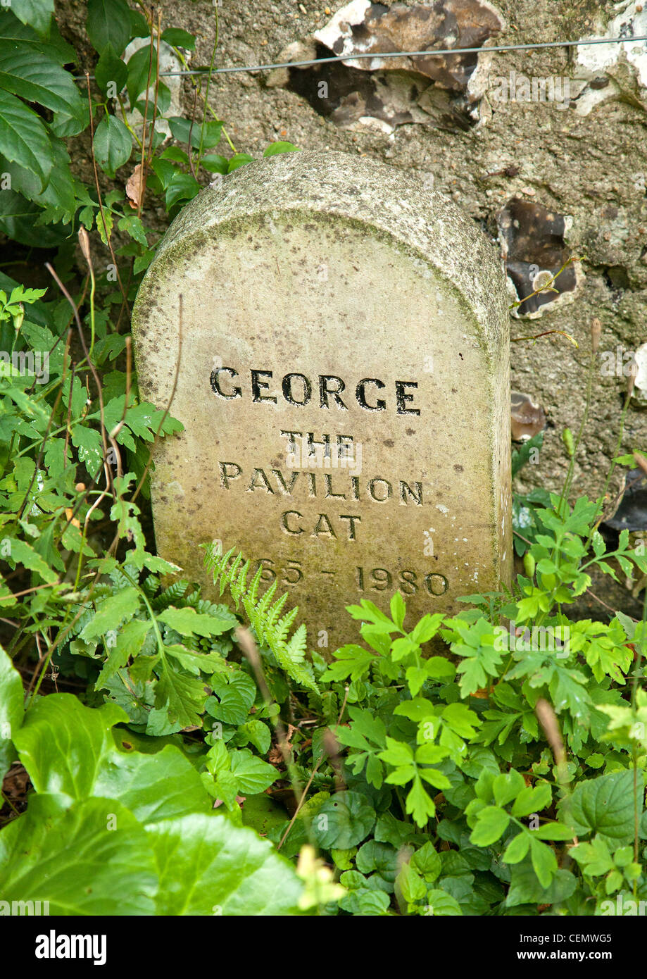 Detailansicht der Pavillon Katze Haustier Grabstein Stockfoto