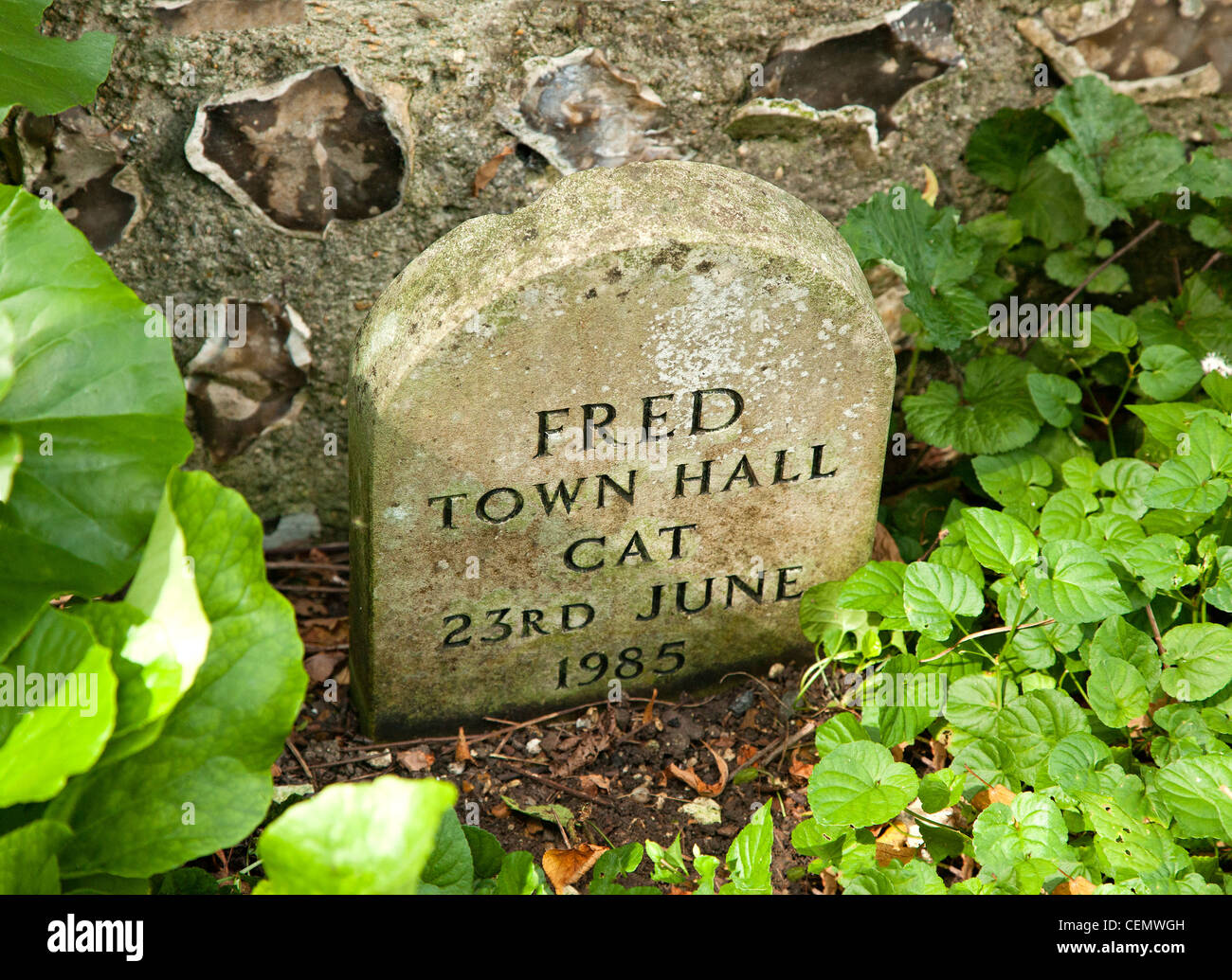 Detailansicht des Rathauses Katze Haustier Grabstein Stockfoto