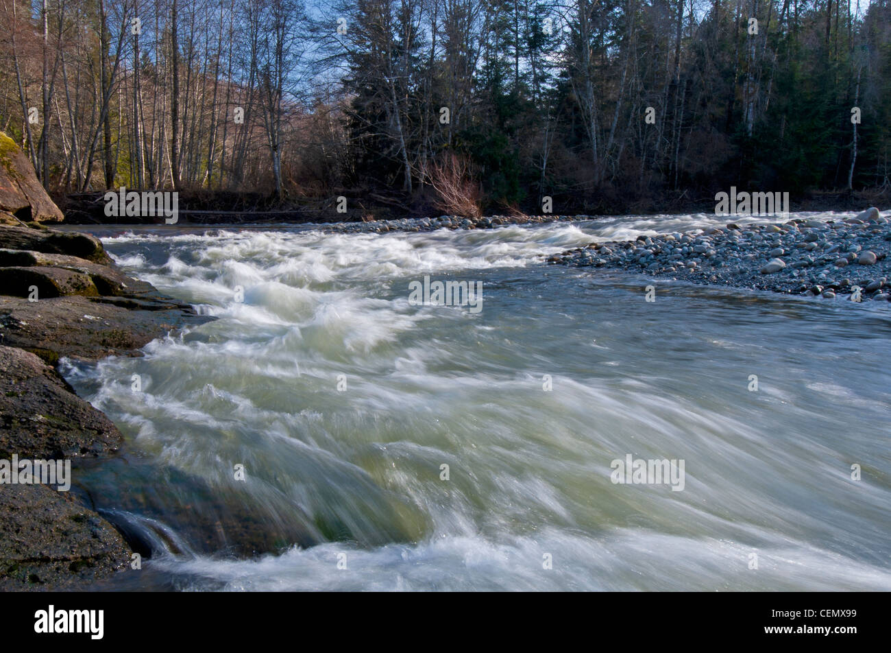 Schnell fließenden Gewässern der Englishman River Parksville Vancouver Island British Columbia Kanada Nordamerika.   SCO 8012 Stockfoto