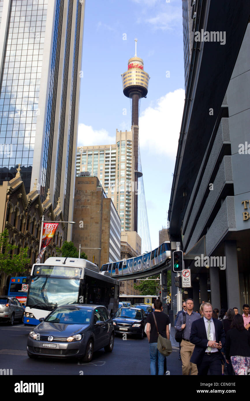 belebte Straße in Sydney, Australien, mit Blick auf Sydney tower Stockfoto