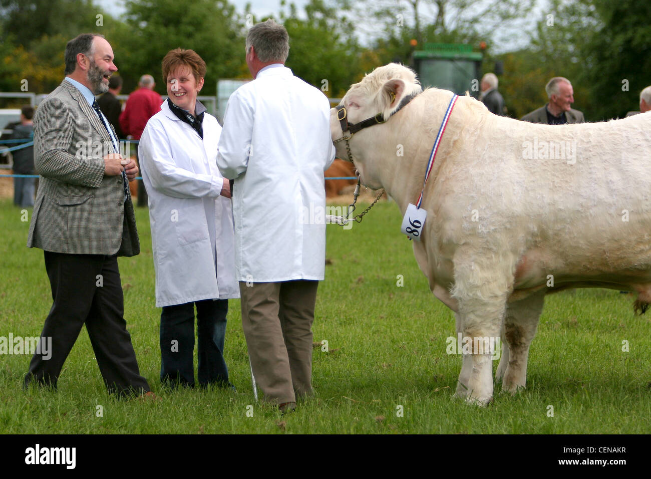 Bauernhof zeigen. Angus, Schottland. Stockfoto