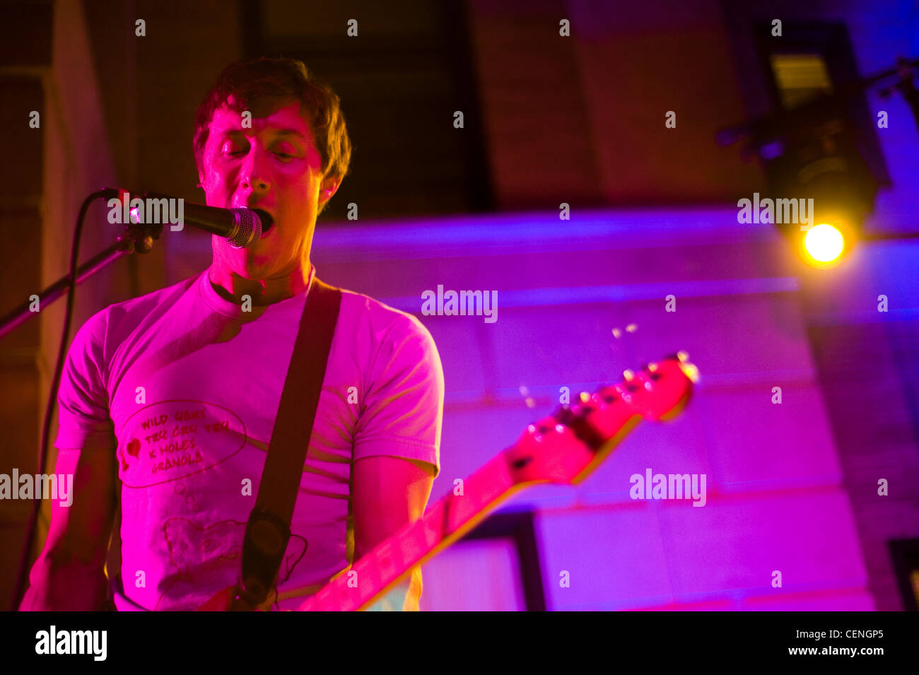 Religiöse/Psychedelic/Punk Rock Band pterodactyl führt in der zweiten Nacht der Braten 2009 lenken. Stockfoto