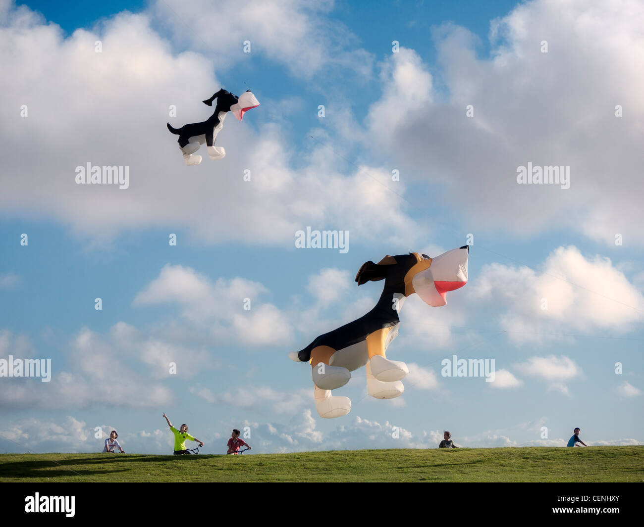 Auf Lytham Grün fünf Teenager Radfahrer halt zwei Neuheit Drachen in Form von riesigen Hunde zu beobachten Stockfoto