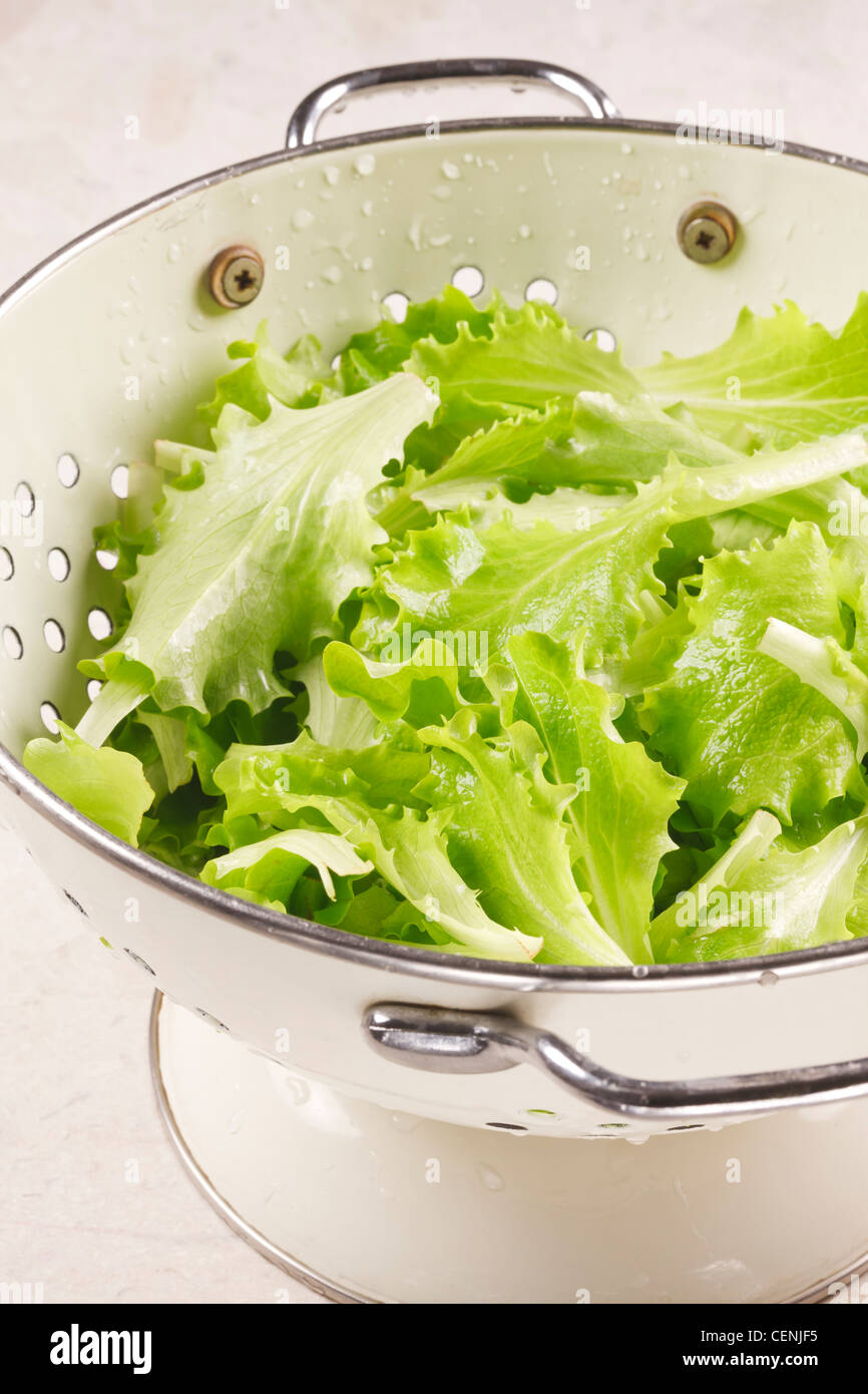 Salat in Sieb Stockfoto