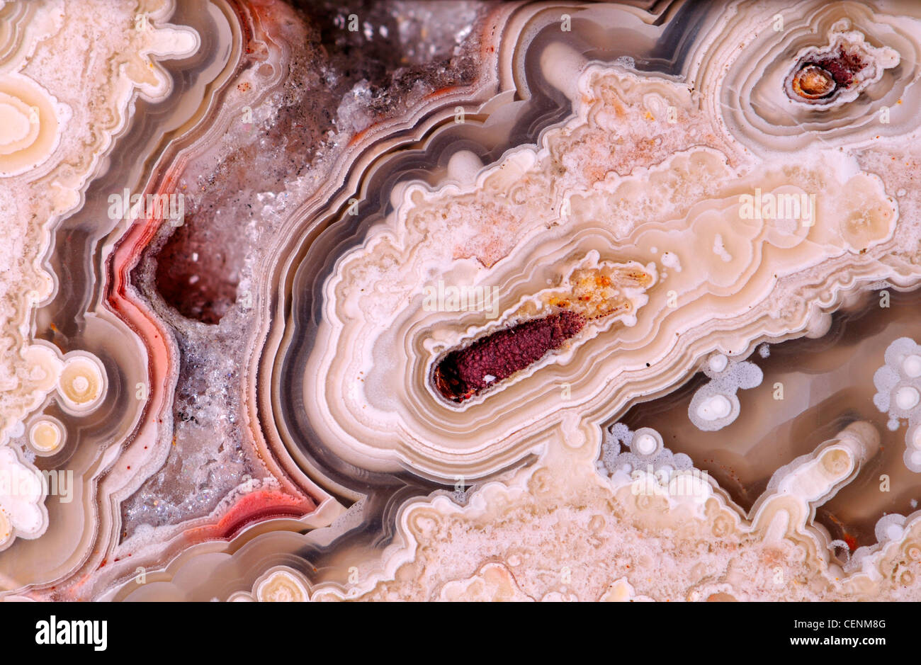 Polierte Scheibe des Jasper (undurchsichtig, feinkörniger Form von Chalcedon) zeigt Achat und weißen Quarz-Kristalle Stockfoto
