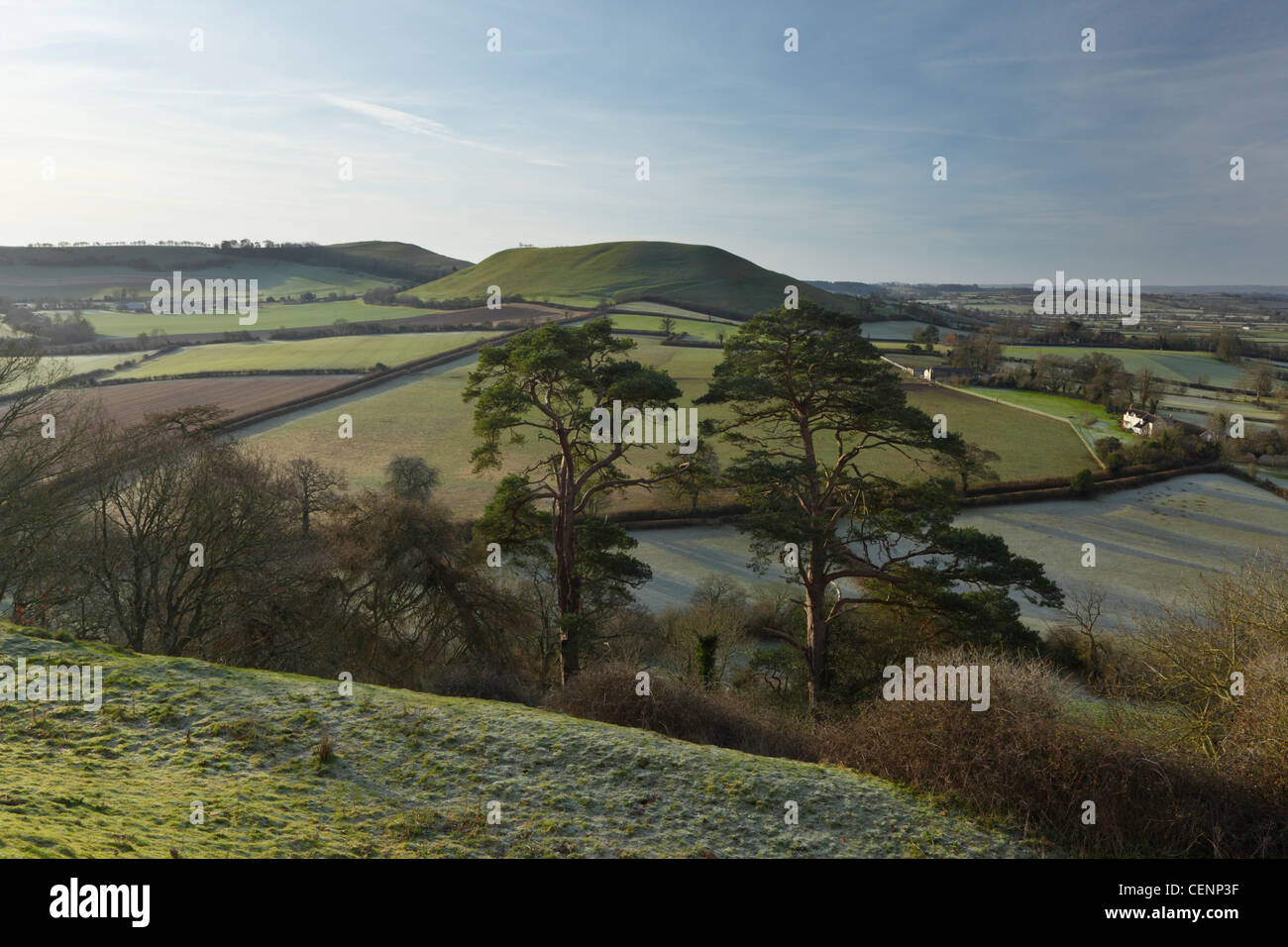 Blick von Cadbury Castle in Richtung Parrock Hill. Somerset. England. VEREINIGTES KÖNIGREICH. Stockfoto