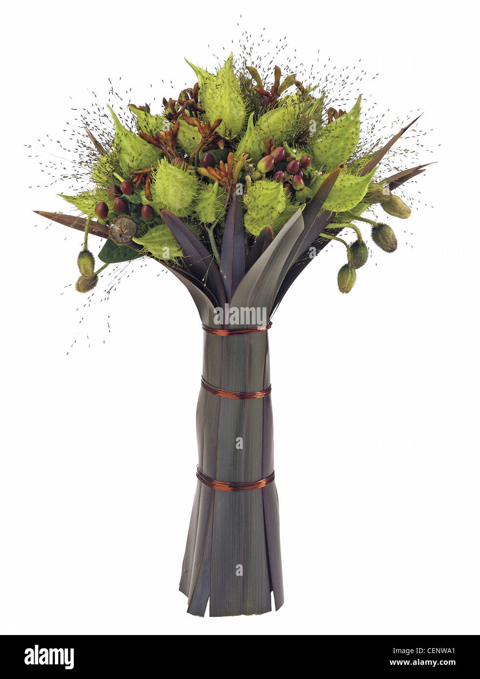 Bouquet von Mohn Knospen, Asclepias Hülsen, Känguru Pfote, Flachs und Saatgut Rasen mit Kupferdraht Bräute Stockfoto