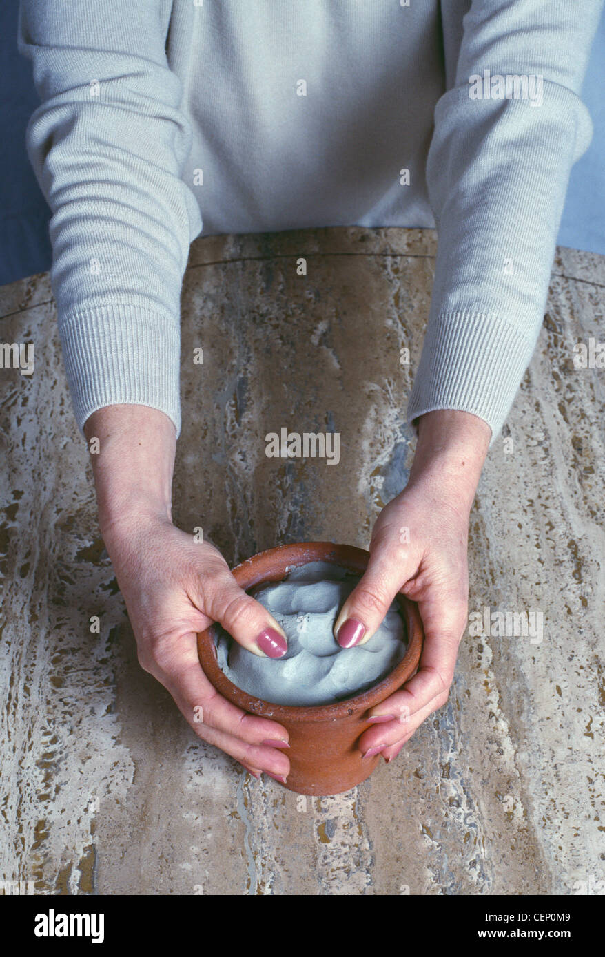 Wie erstelle ich einen Rosenstrauch Schritt drücken die Dri-Hard nach unten in den Topf Stockfoto