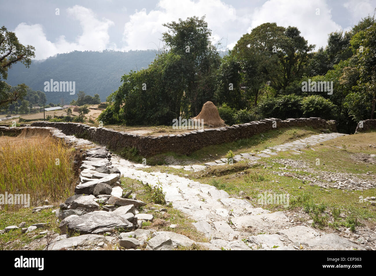 Wanderwege zwischen den Dörfern in Pokhara Tal - Dhampus Dorf, Gandaki Zone, Nepal Stockfoto