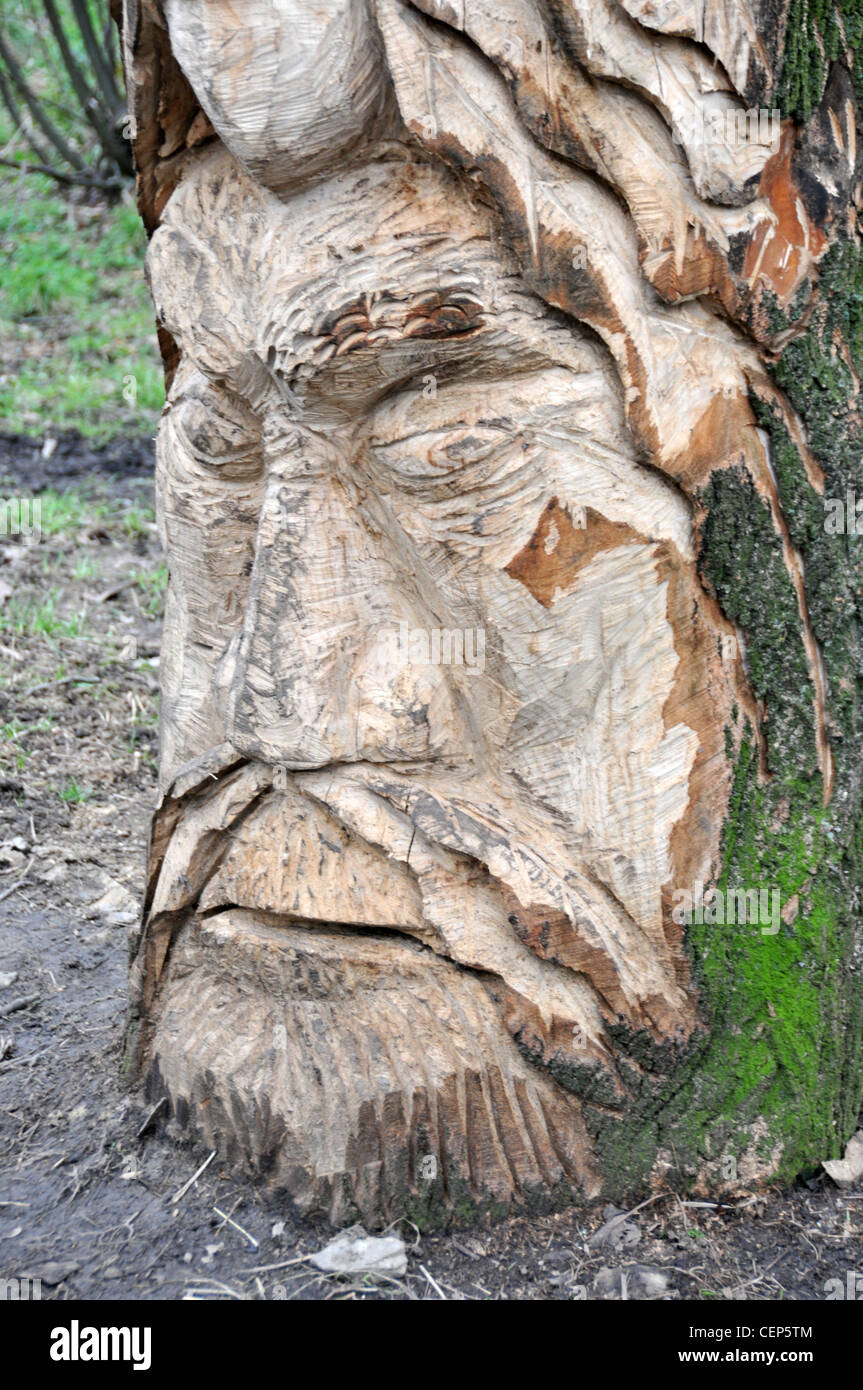 Viking Skulptur Holzschnitzerei Baumstumpf schneiden Carving Bart Gesicht Kunst Kunst Kunst im öffentlichen Raum Stockfoto