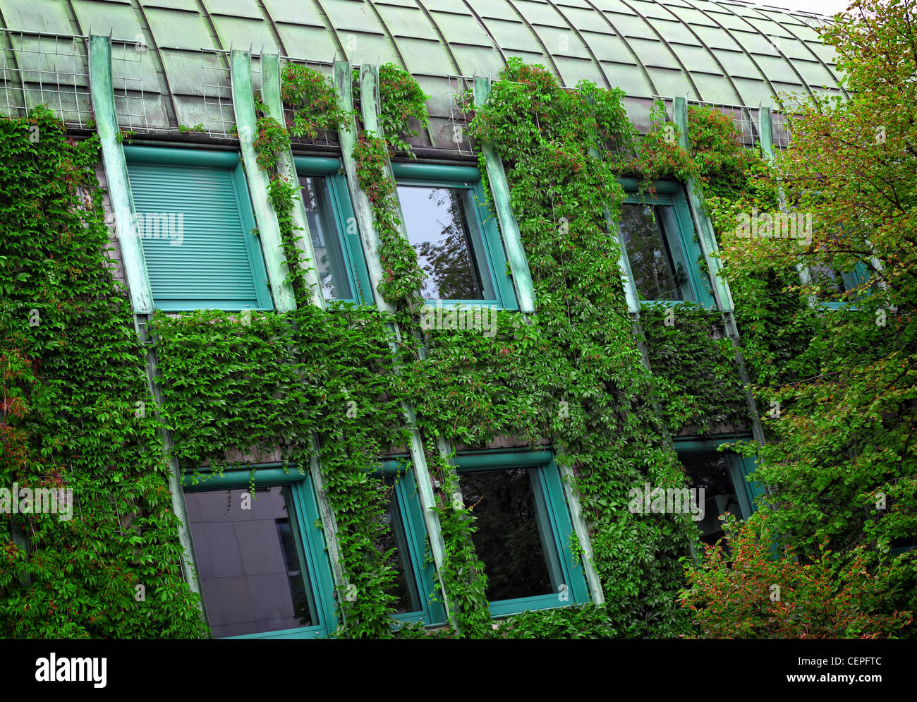 Detail des modernen Hauses mit Anlage an Wand Stockfoto