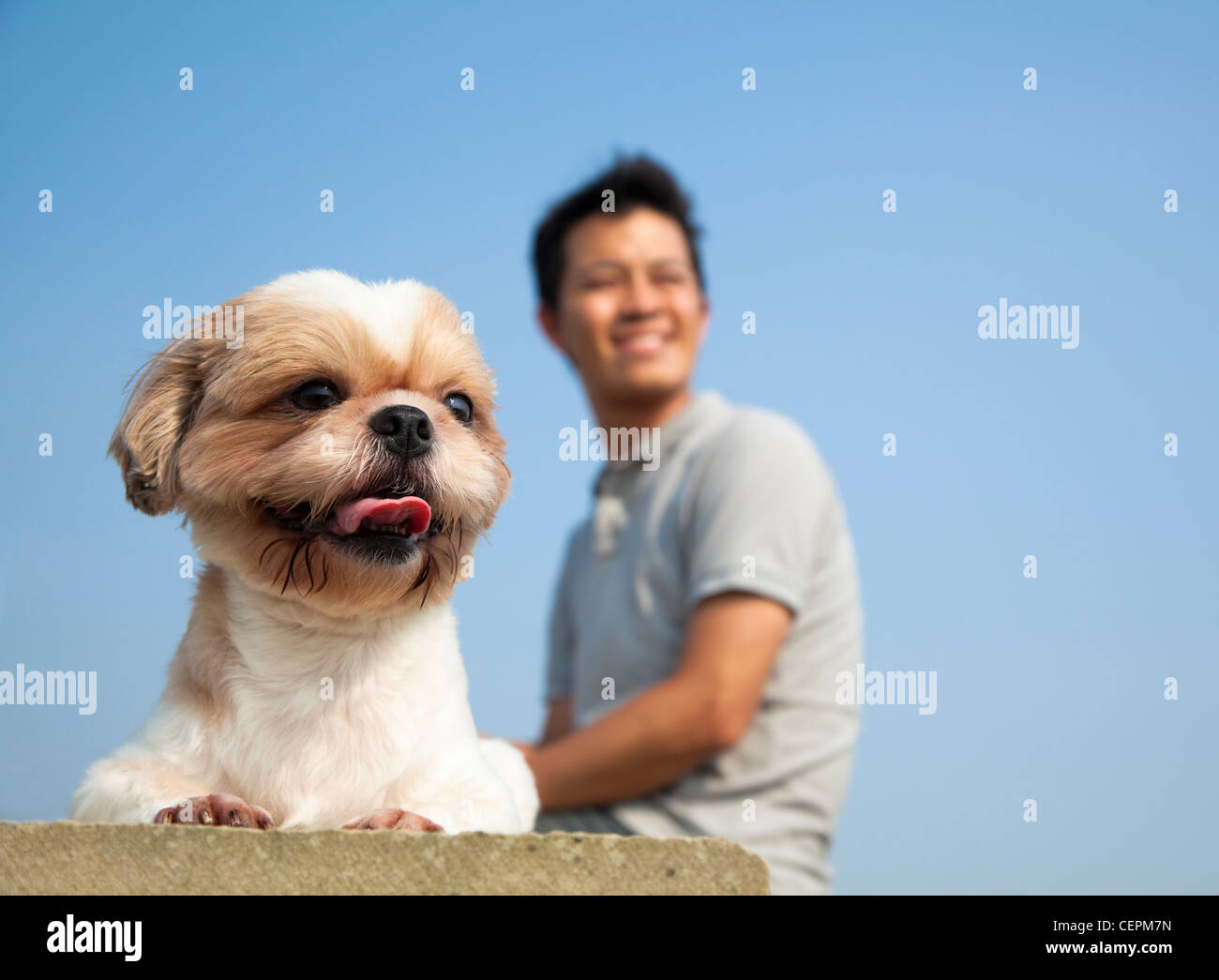 Junger Mann sitzt mit seinem Hund Stockfoto