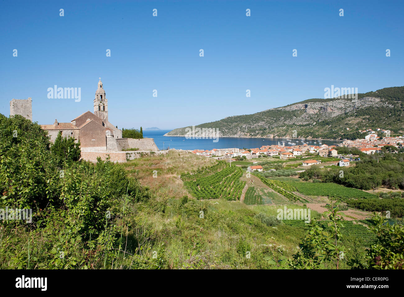 Weinberge in der Nähe von Komiza auf der Insel Vis, Adria, Kroatien Stockfoto
