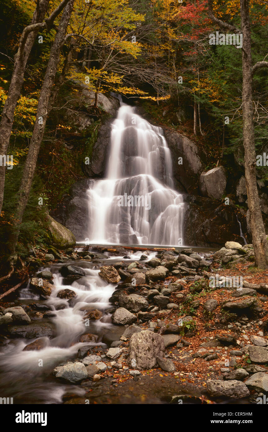 Herbst Moss Glen verliebt sich in Vermont New England Stockfoto