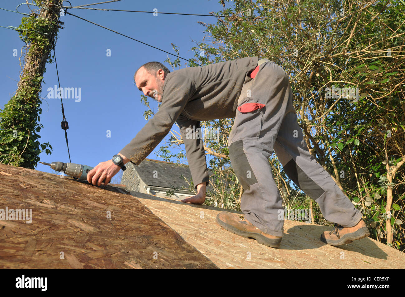 Ein Mann, die Reparatur des Daches von seinem Schuppen Stockfoto